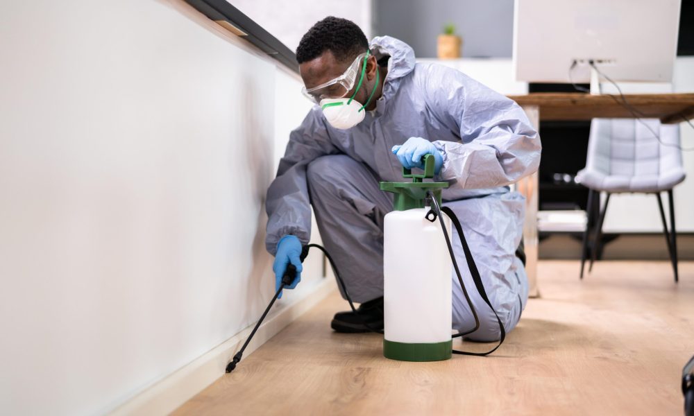 Pest Control Exterminator Man Spraying Termite Pesticide